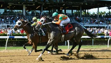 Commandment Recovers Strongly After Florida Derby Victory at Gulfstream
